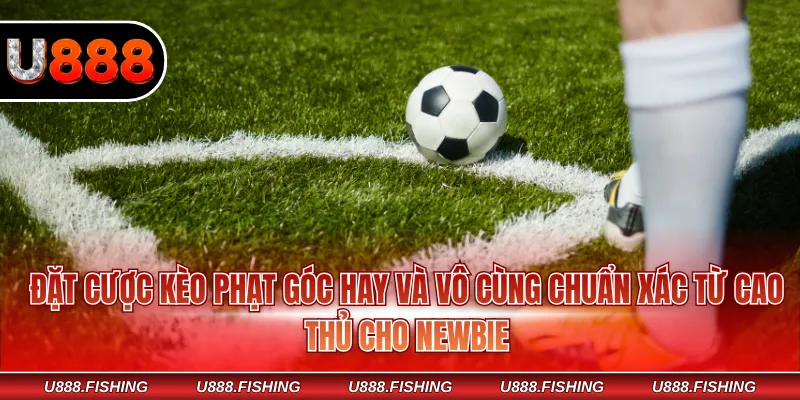 Kèo Phạt Góc - Mẹo Hay Dự Đoán Trúng Lớn Cho Newbie 4 Đặt cược kèo phạt góc hay và vô cùng chuẩn xác từ cao thủ cho Newbie